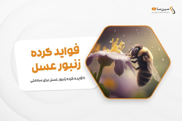 11 فایده گرده زنبور عسل برای سلامتی + گنجینه مواد مغذی